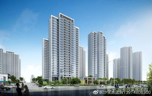 如何底價入手招商華發 依云曦城