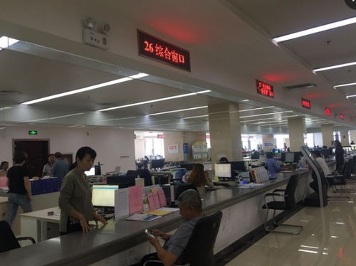 需存 這幾個服務窗口新進駐政務服務事項,辦理業務的市民要看清