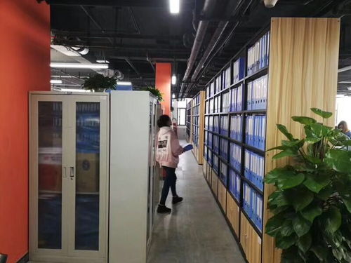 圖 東麗區代辦注冊一般納稅人公司代理記賬 天津工商注冊