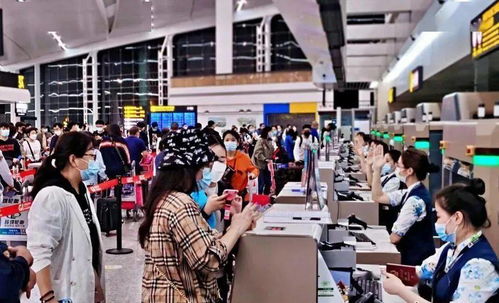 疫情下的求學之路怎么走 這里有參考答案