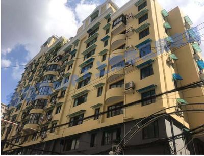 明明是快樂教育,偏偏盛產學霸!上外黃浦小學評測