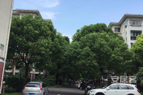 三林世博家園 e區 優點 不足,三林世博家園 e區 怎么樣,三林世博家園 e區 周邊房產中介經紀人評價