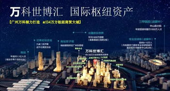 萬科世博匯,南站樞紐,首期15萬拿下永久資產