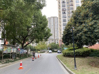 三林世博家園D區綜合評估 優缺點、居住體驗及周邊服務解析