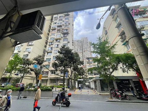 上海騎樓住宅 市中心300米小馬路改造中的煙火氣守護